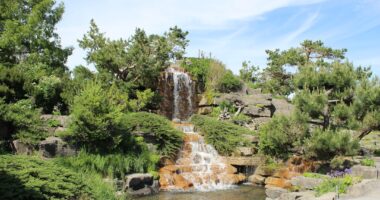 Photo Outdoor garden